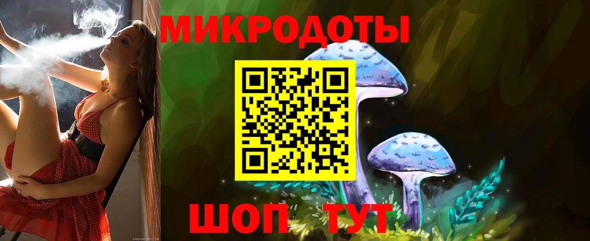 Галлюциногенные грибы Psilocybine cubensis Лянтор